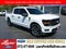 2024 Ford F-150 STX 2WD SuperCrew 5.5' Box