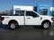 2024 Ford F-150 XL 4WD Reg Cab 6.5' Box