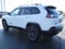 2021 Jeep Cherokee 80th Anniversary 4x4